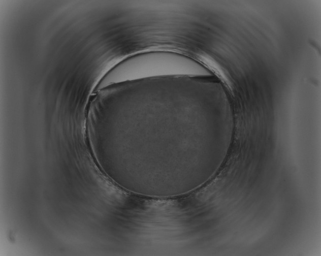 X0000091721284200709071427