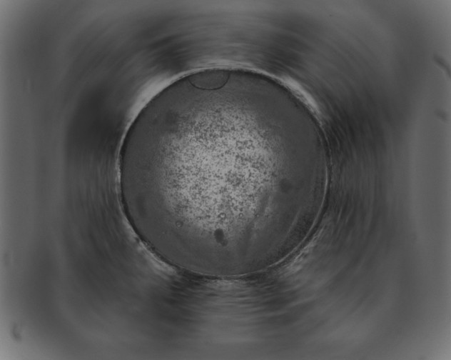 X0000091721287200709071427