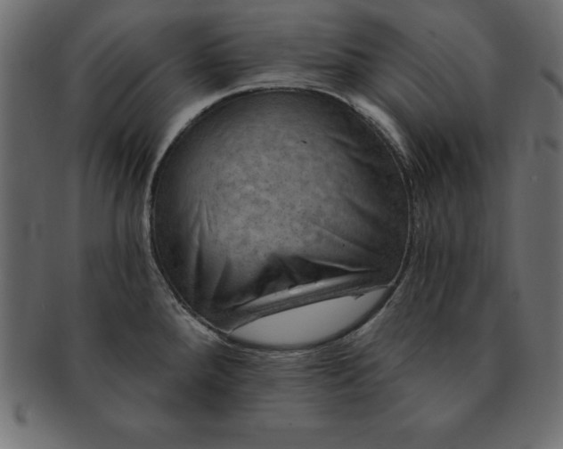 X0000091721288200709071427