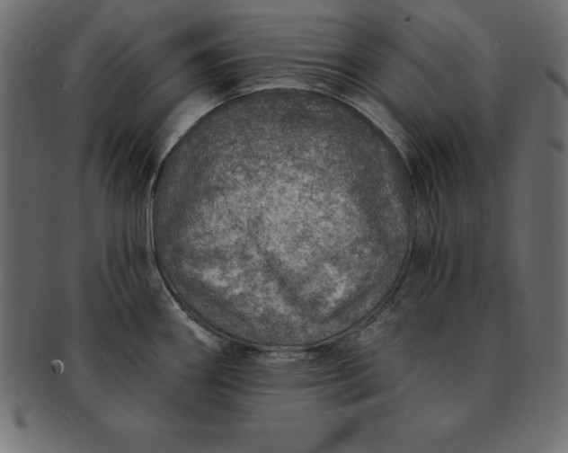 X0000091721290200709071427