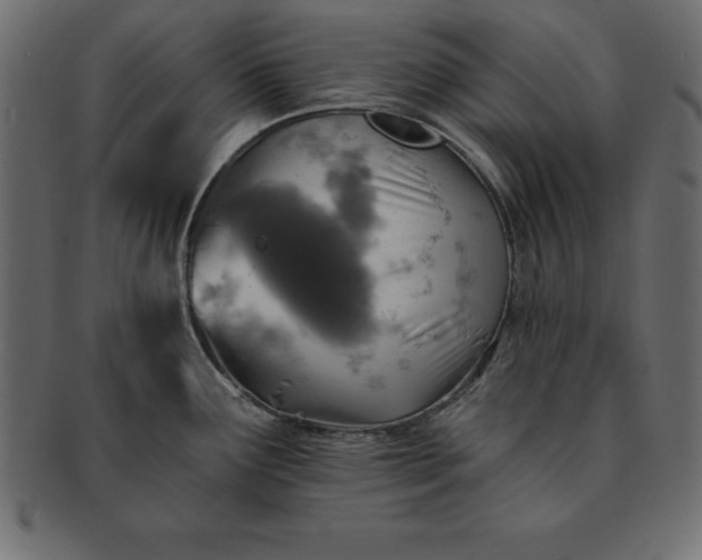 X0000091721291200709071427