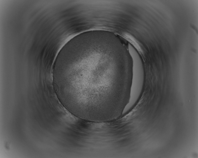 X0000091721292200709071427