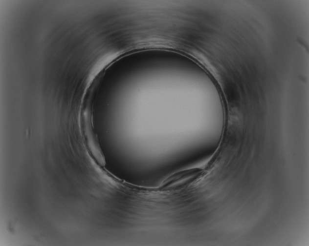 X0000091721293200709071427