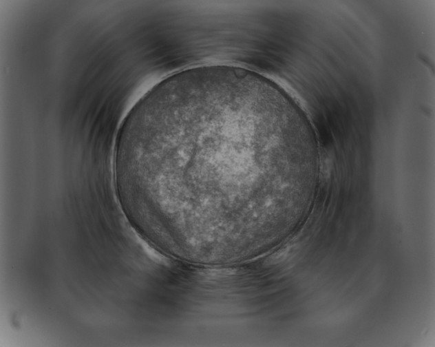 X0000091721294200709071427