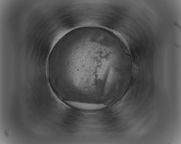 X0000091721295200709071427