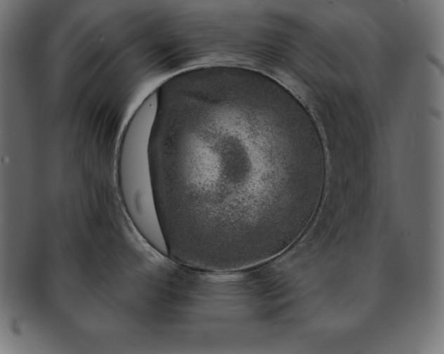 X0000091721296200709071427