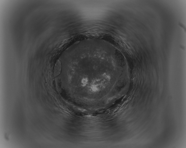 X0000091721297200709071426