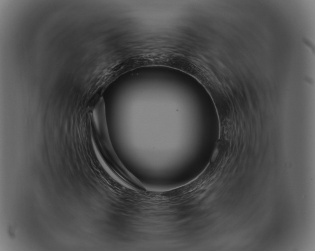 X0000091721298200709071426