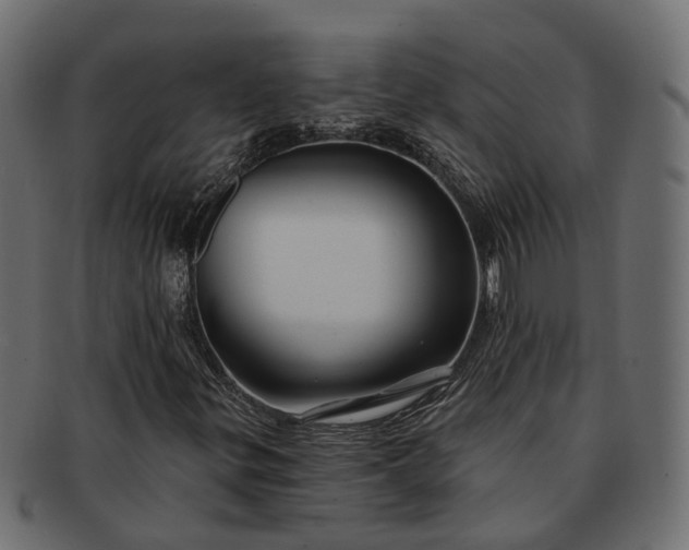 X0000091721299200709071426