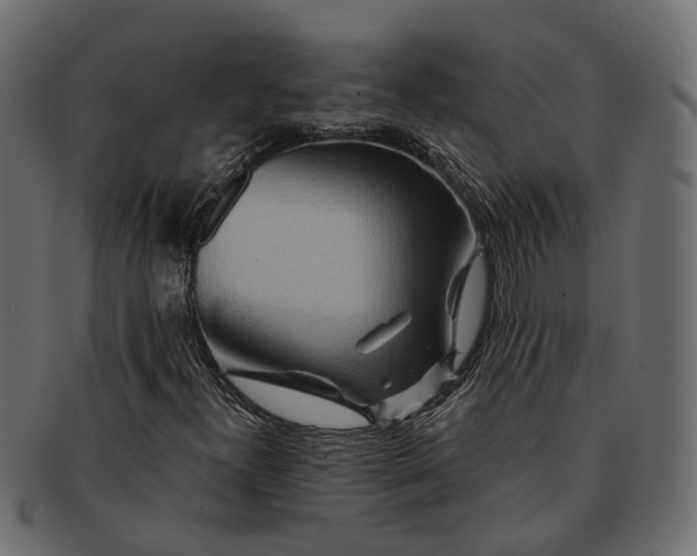 X0000091721300200709071426