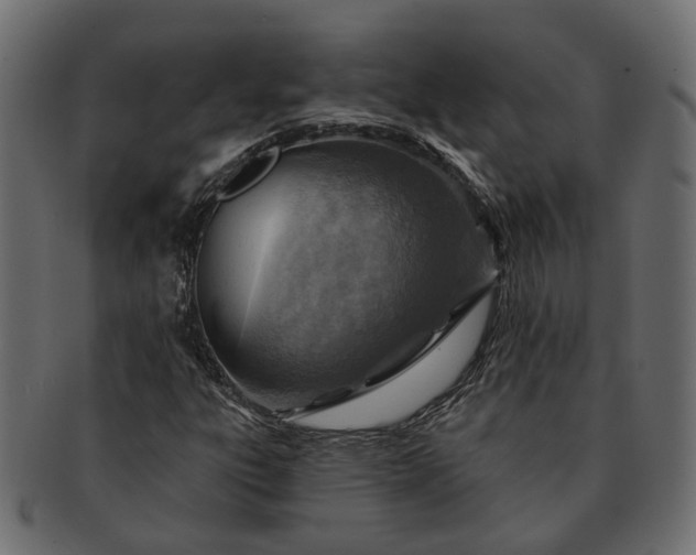 X0000091721303200709071426