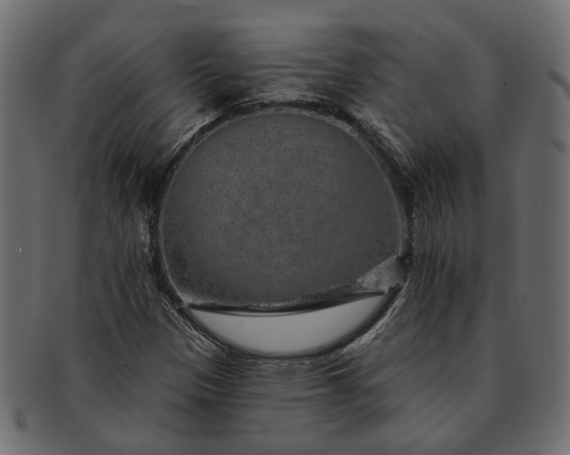 X0000091721305200709071426