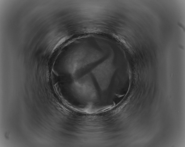 X0000091721306200709071426