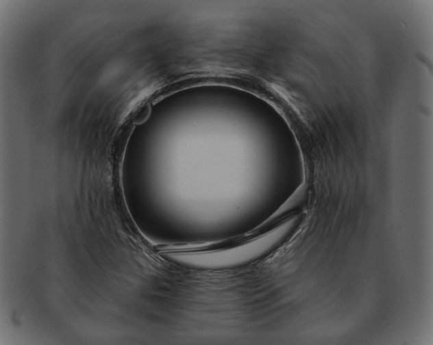 X0000091721307200709071426