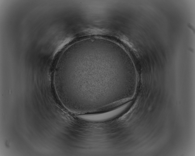 X0000091721309200709071426