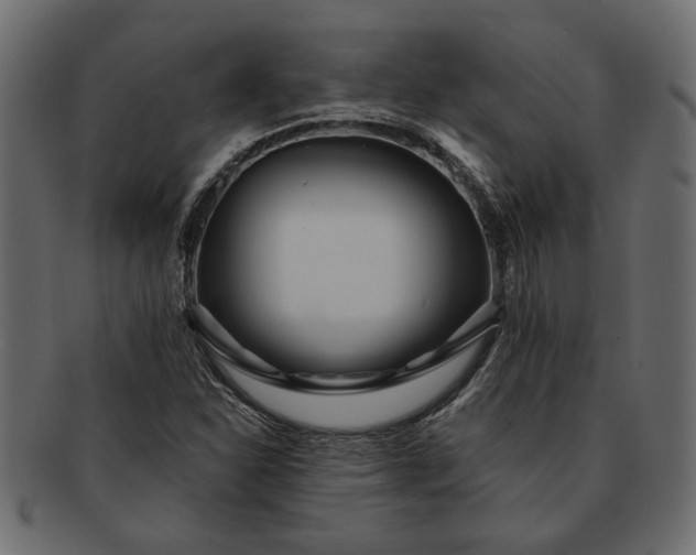 X0000091721310200709071426