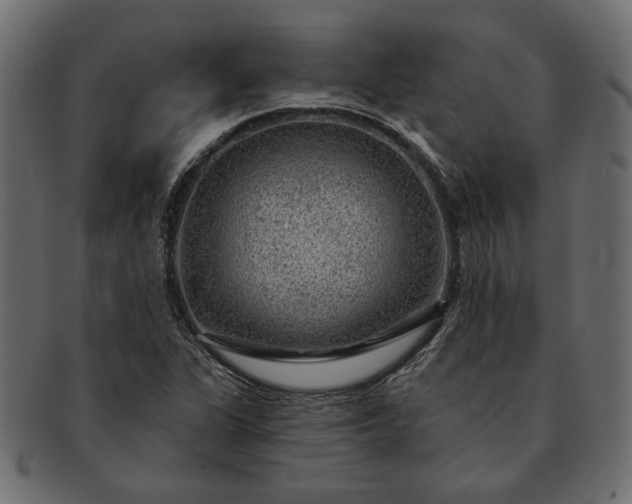 X0000091721311200709071426