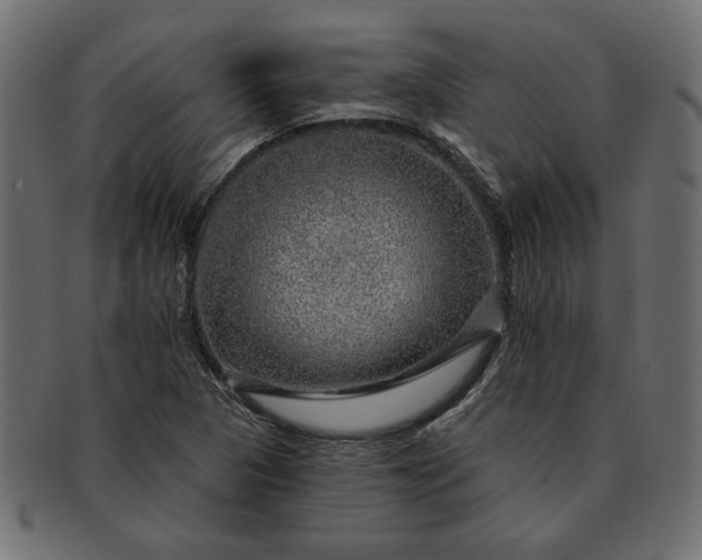 X0000091721313200709071426