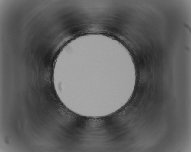 X0000091721314200709071426