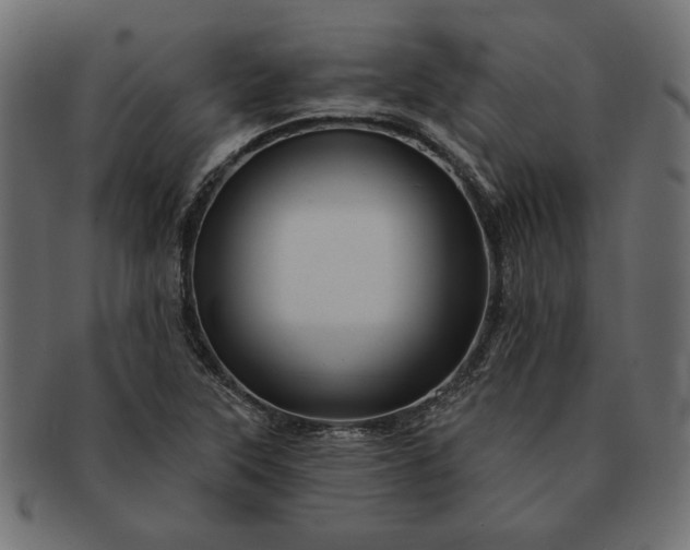 X0000091721315200709071426