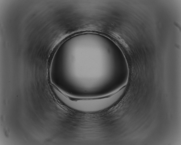 X0000091721316200709071426