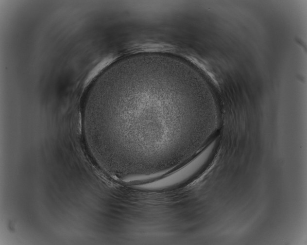 X0000091721317200709071426