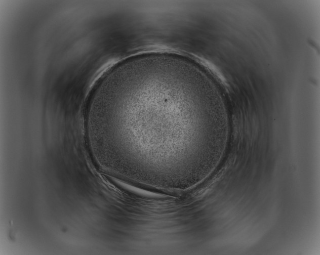 X0000091721318200709071426