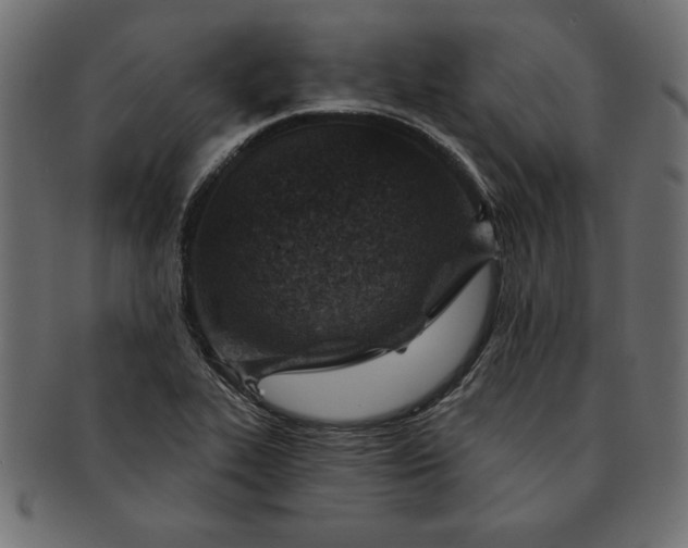 X0000091721319200709071426