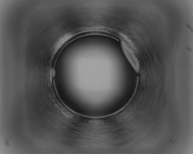 X0000091721320200709071426