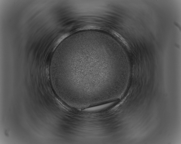 X0000091721321200709071426