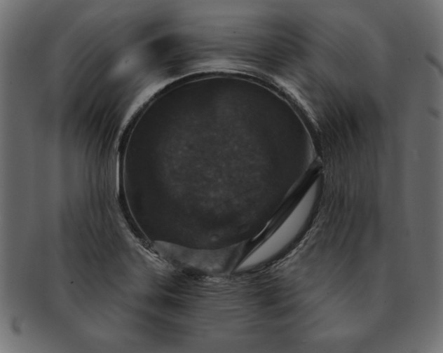 X0000091721323200709071427