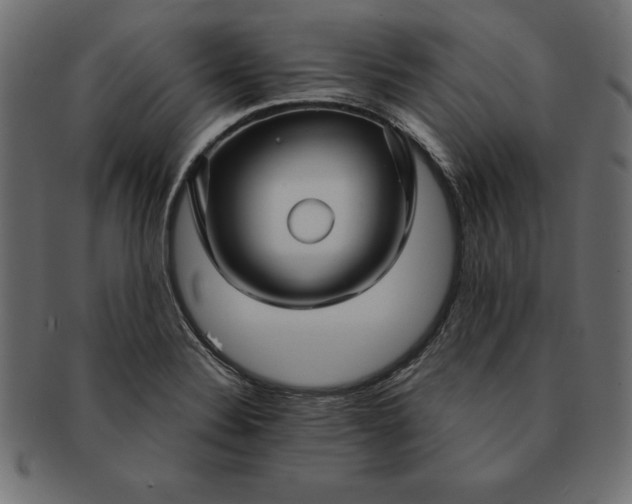 X0000091721324200709071427