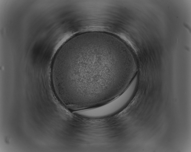 X0000091721325200709071427