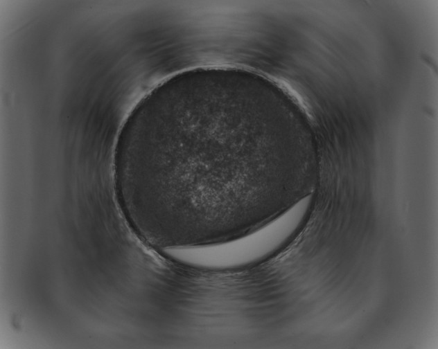 X0000091721327200709071427