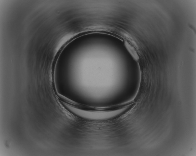 X0000091721328200709071427