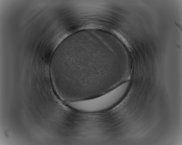 X0000091721329200709071427