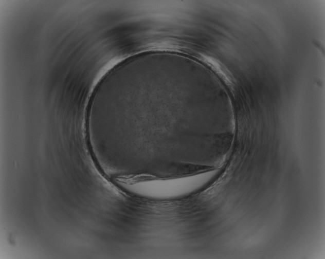 X0000091721331200709071427