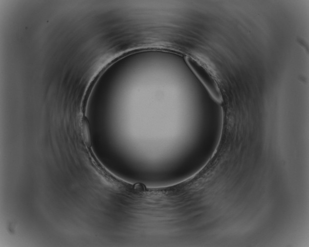 X0000091721332200709071427