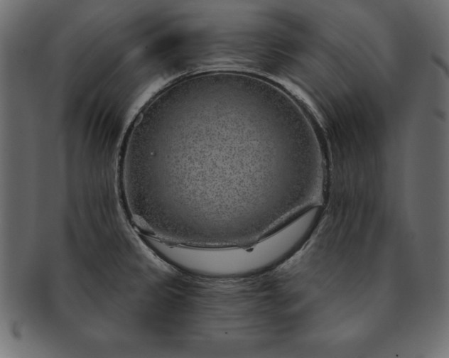 X0000091721333200709071427