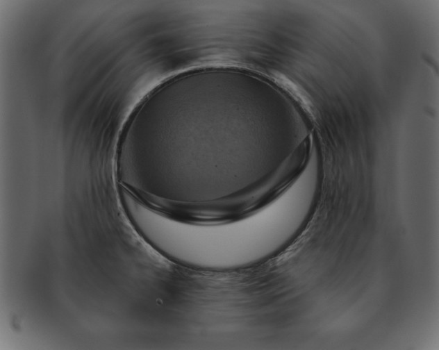 X0000091721334200709071427