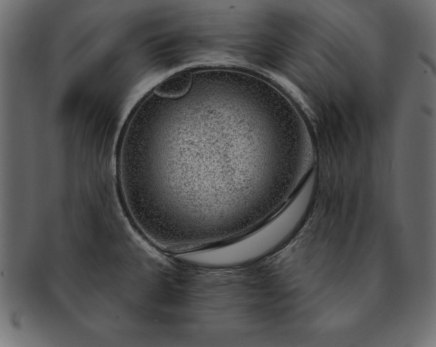 X0000091721335200709071427