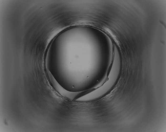 X0000091721336200709071427