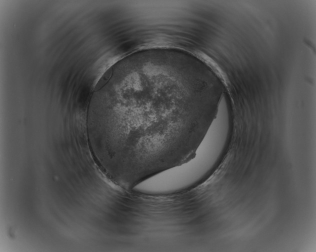 X0000091721337200709071427