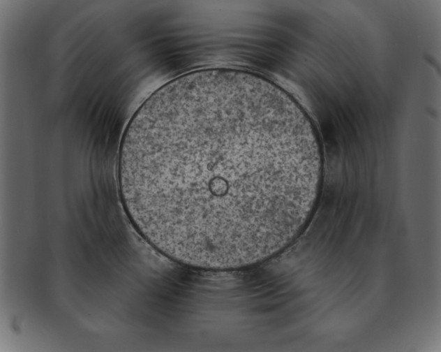 X0000091721338200709071427