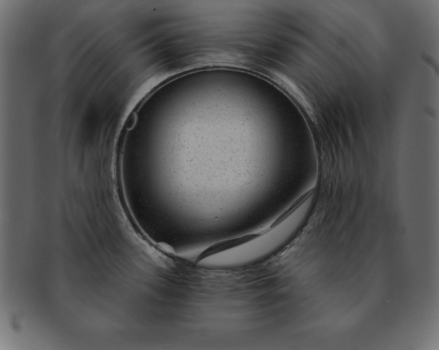 X0000091721339200709071427