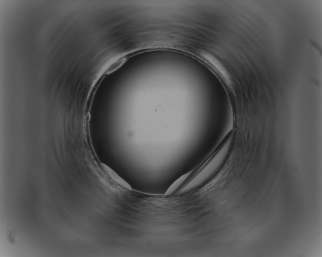 X0000091721340200709071427