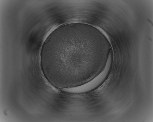 X0000091721341200709071427