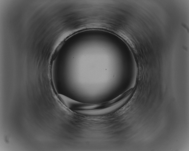 X0000091721342200709071427