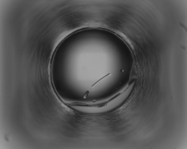 X0000091721343200709071427