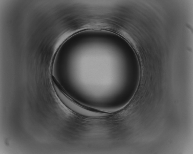 X0000091721344200709071427